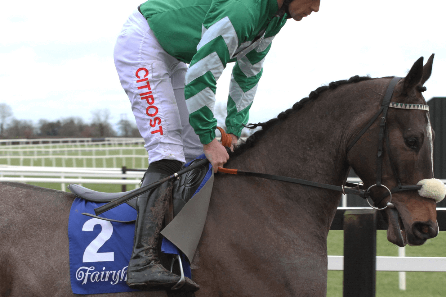 runners for grand national